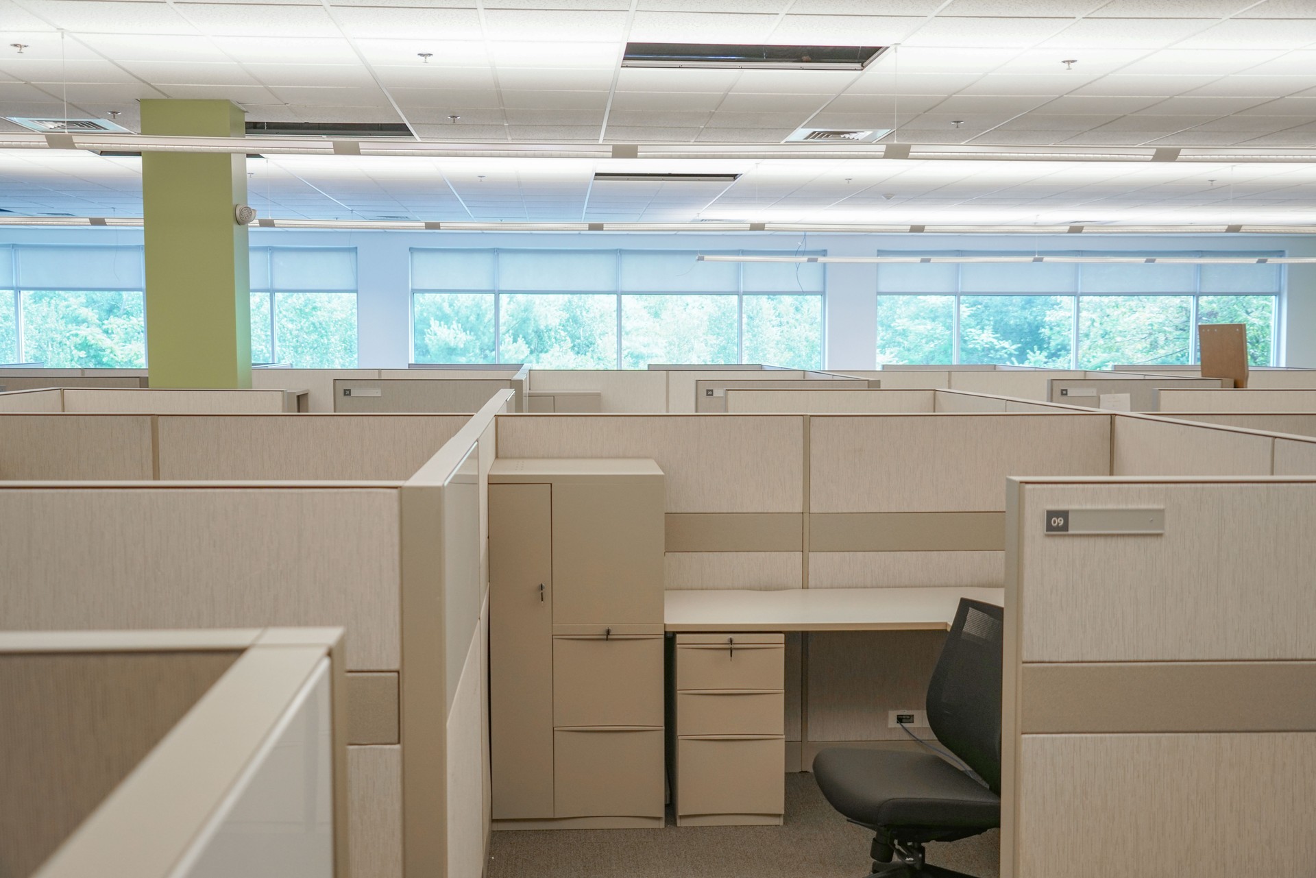 office area with cubicles inside building, place of work